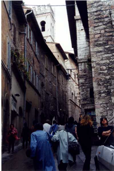 ���t�����V�X�R�̂�������A�b�V�W�̒���