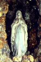 ���A�̐��ꑜ