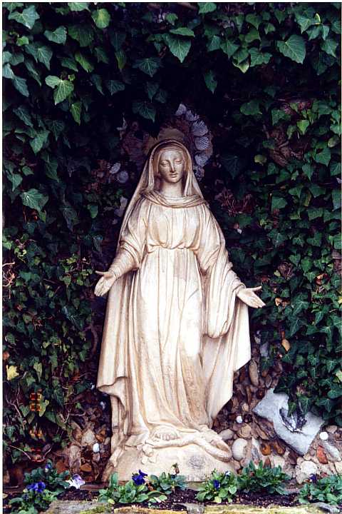 ���̐���