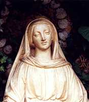 ���̐���