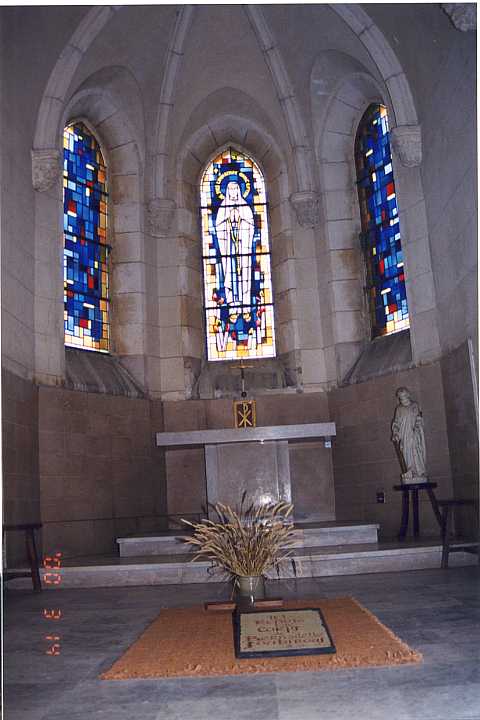 �����Z�t����������