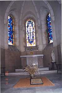 �����Z�t����������